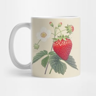 Strawberry Ukiyoe Art Japanese Art Mug